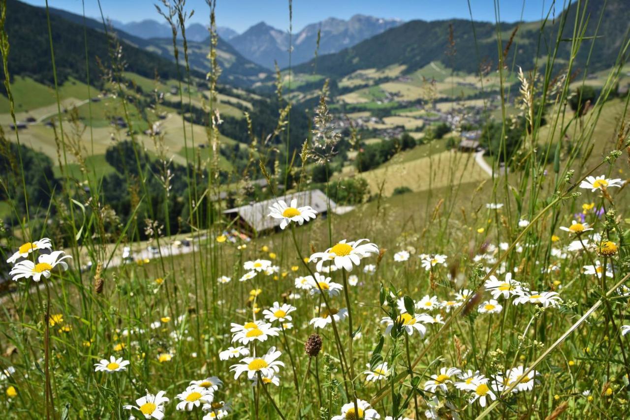 Haus Dorferstuck Apartment Alpbach Exterior foto